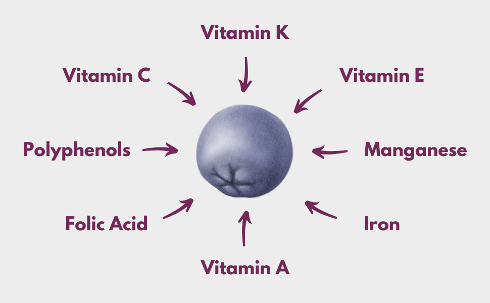 Vitamins and minerals in aronia berries