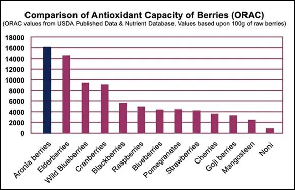 Comparison of Orac values of different fruits like the Aronia berry